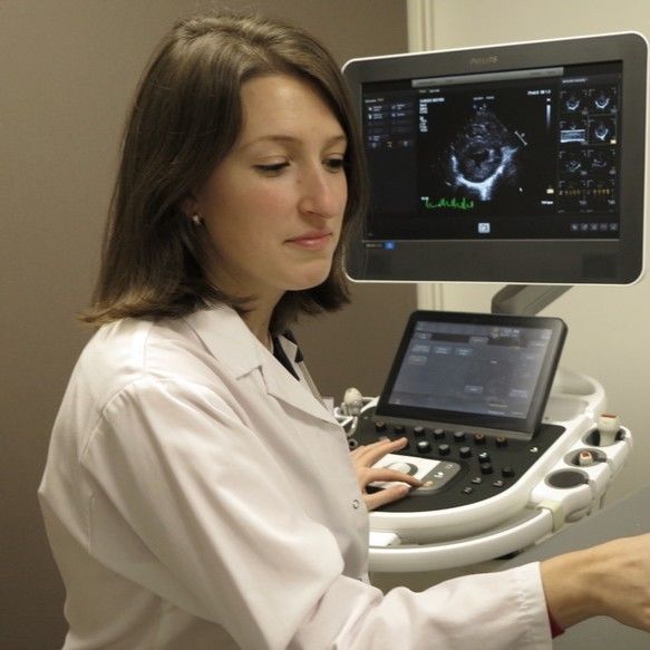 image formateur Cécile DAMOISEAUX